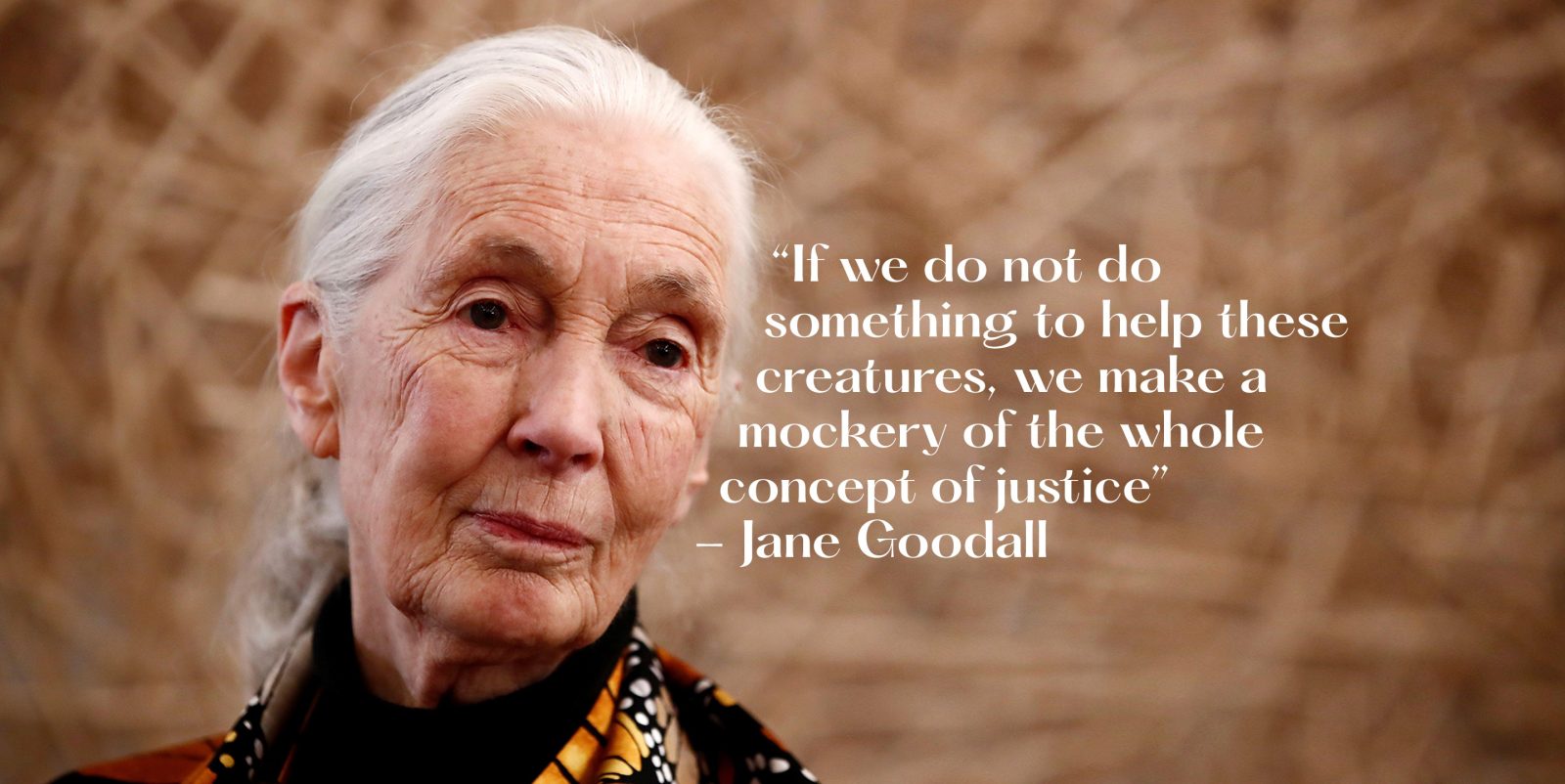 jane_goodall_quote_banner