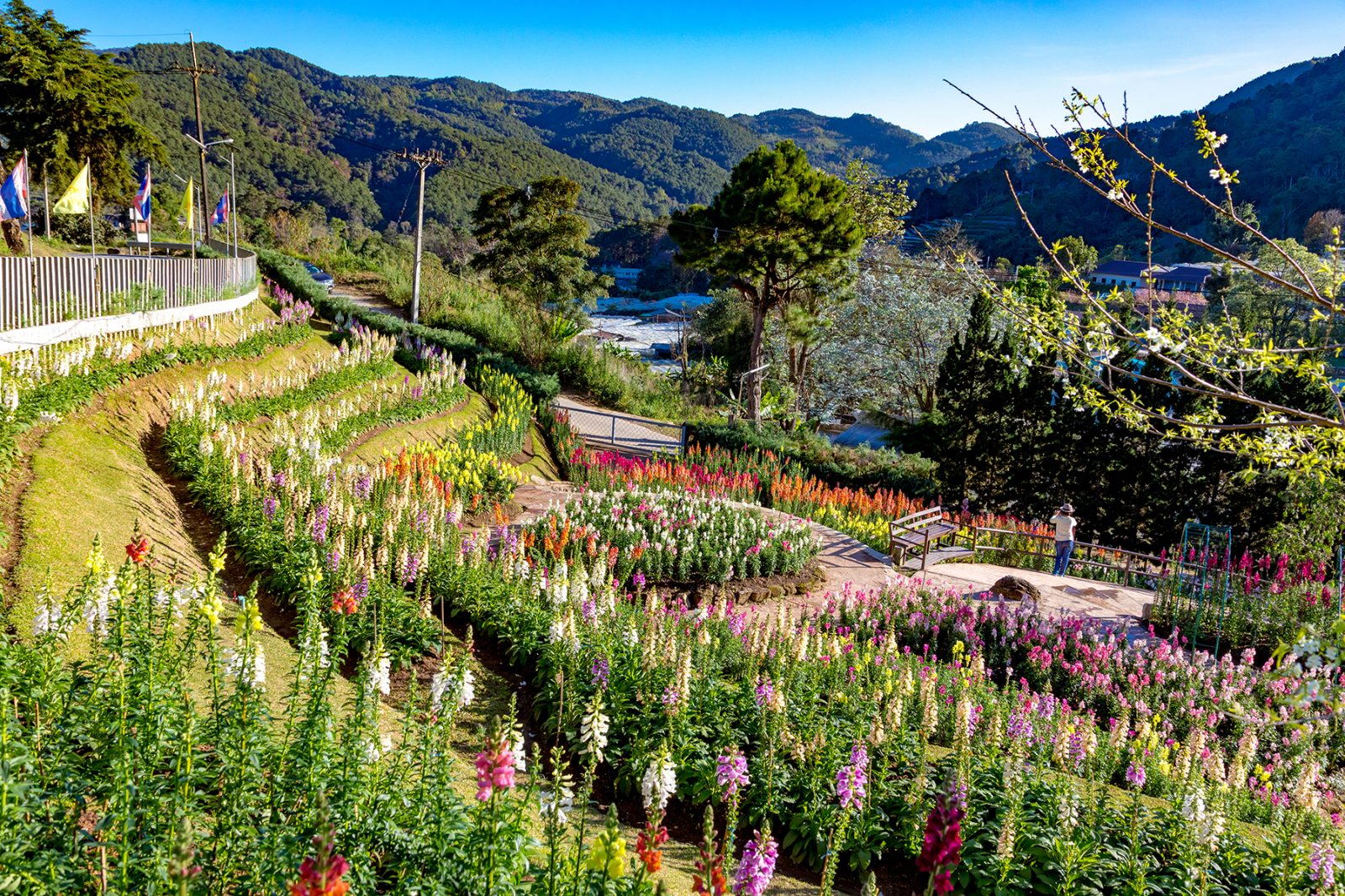 Doi Inthanon National Park