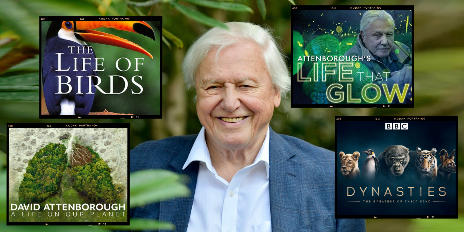 david attenborough documentaries to watch